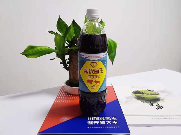 超级菌王-养猪专用