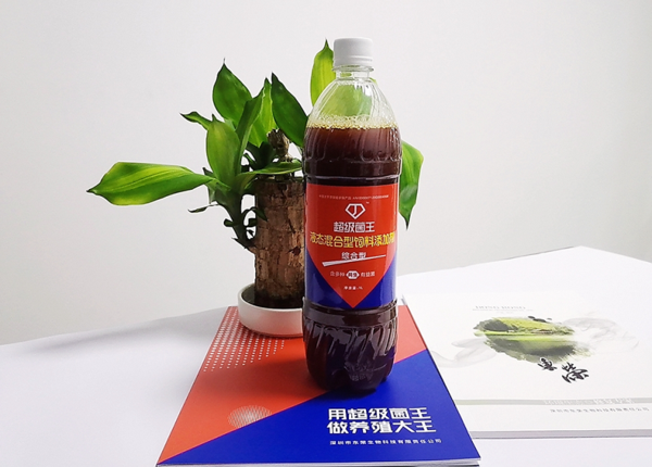 超级菌王-综合型